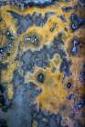 USA, Washington State, Port Townsend, Fort Worden State Park. Decay patterns on wall. Art Print